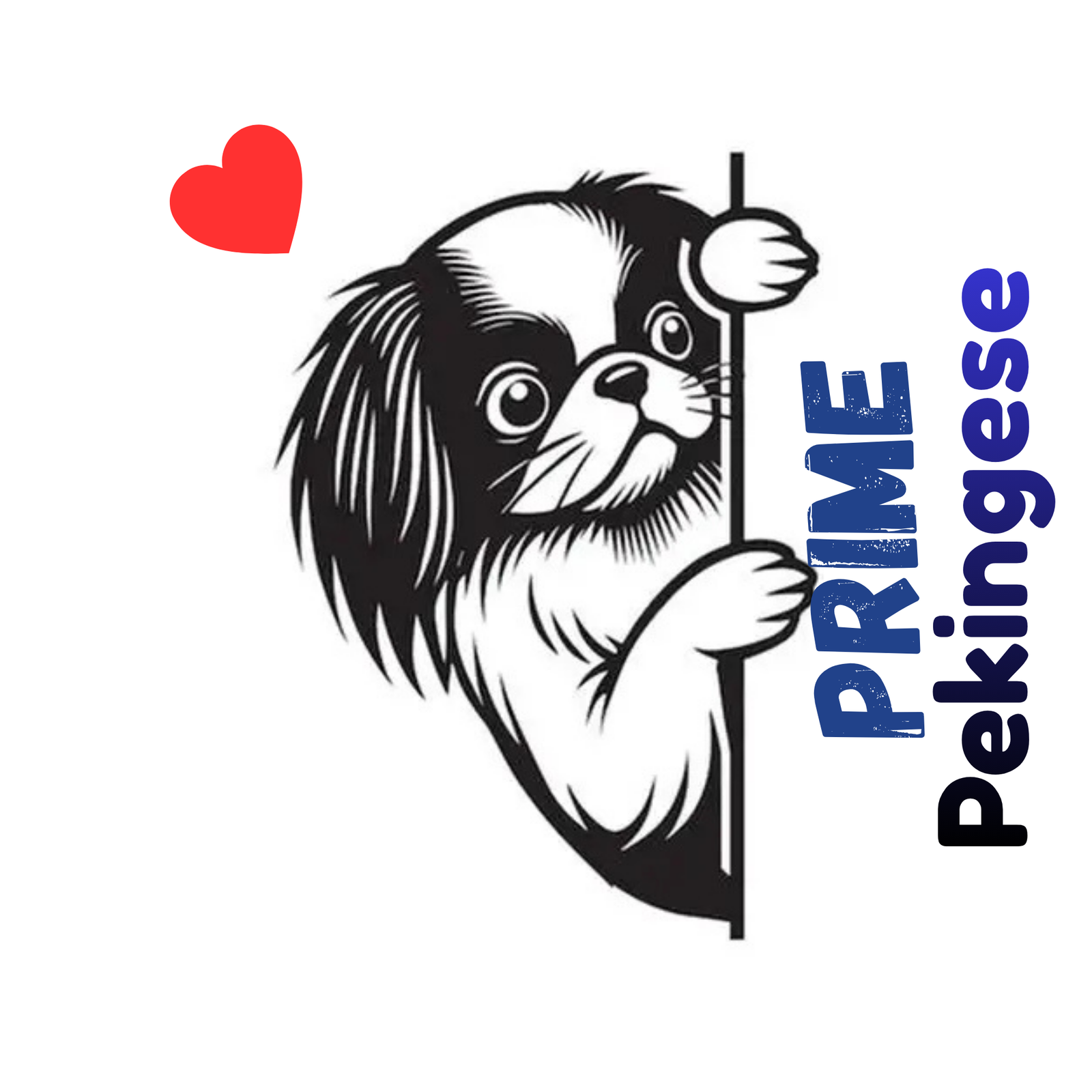 PRIME PEKINGESE USA